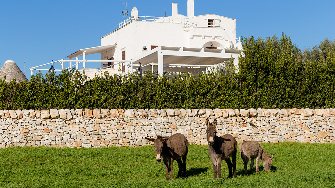 Masseria Madonna dell'Arco