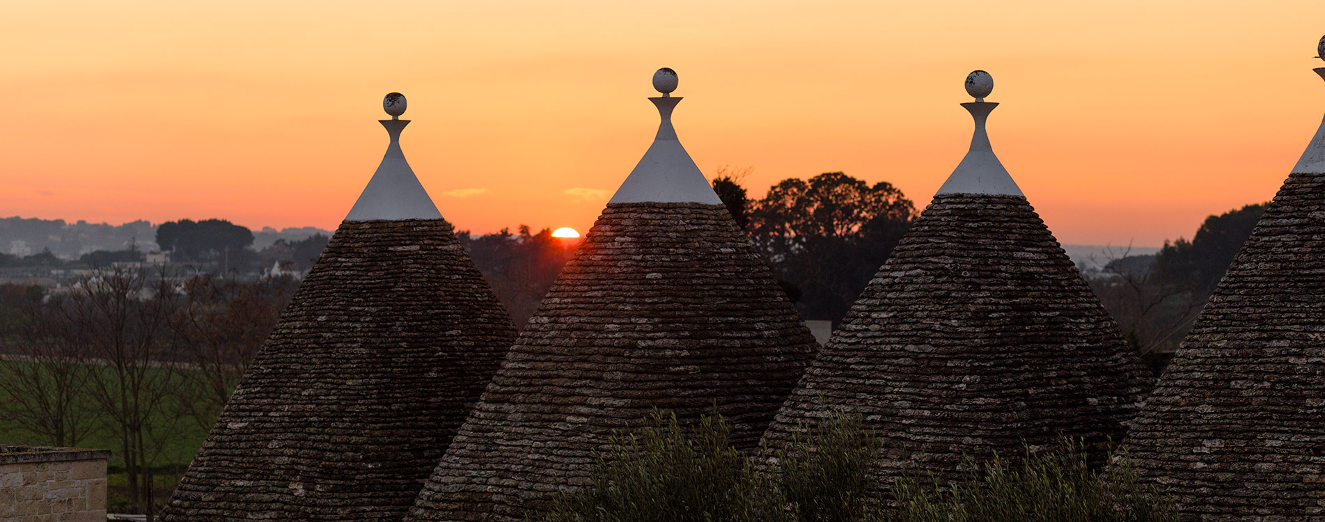 locorotondo masseria